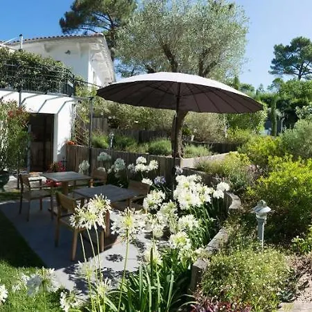 Ferret Vigne - D'hotes 4* Lège-Cap-Ferret