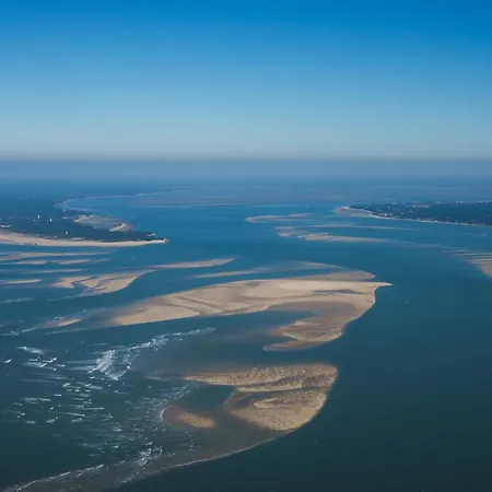 بيت ضيافة Ferret Vigne - D'hotes Lège-Cap-Ferret