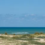 Ferret Vigne - D'hotes Lège-Cap-Ferret
