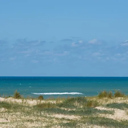 Ferret Vigne - D'hotes Lège-Cap-Ferret